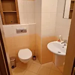 Borgi