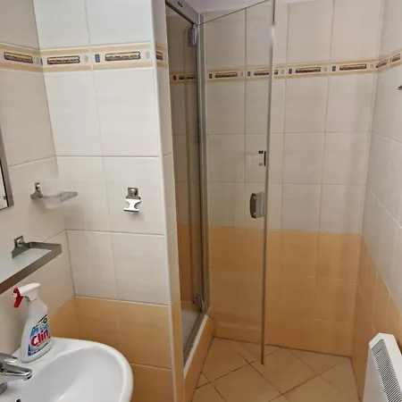 Borgi