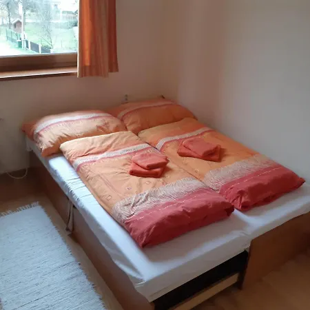 Borgi